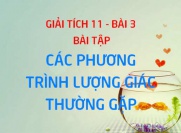 Bài tập phương trình lượng giác thường gặp, phương trình bậc nhất sinx và cosx - Giải tích 11 bài 3